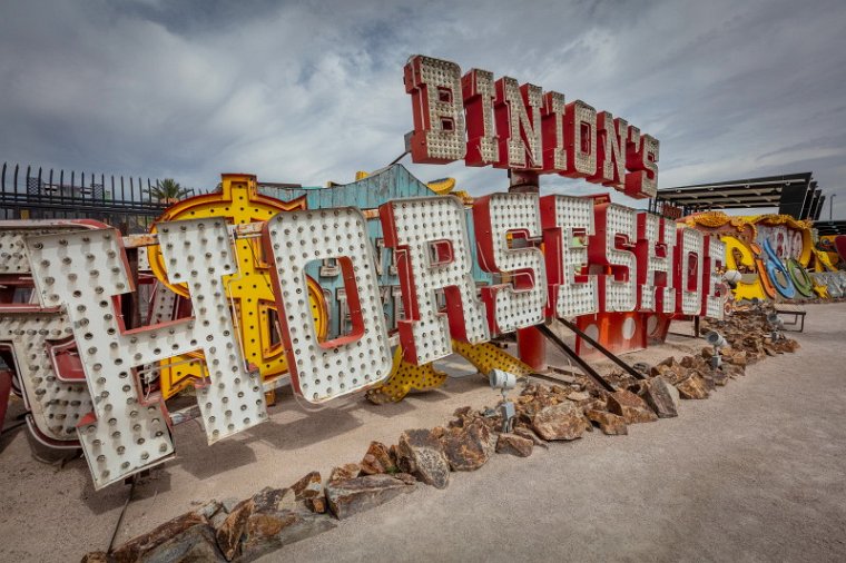 167 Las Vegas, Neon Museum.jpg